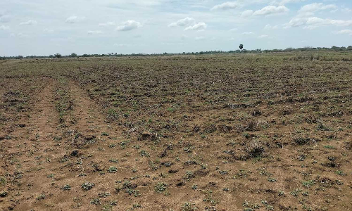 CIBIL score ‘scare’ haunts Tamil Nadu farmers