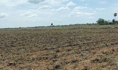 Tax on groundwater yet another blow to TN farmers