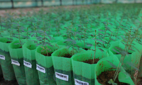 The Middle-East model for land restoration