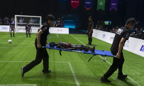 Games they play:  Are humanoid soccer robots generating more excitement?