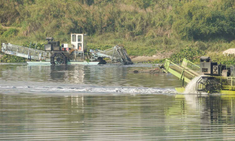 11 river sites across India breach flood warning levels, says govt water body