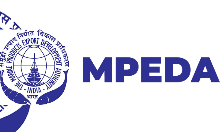 Kerala chef wins India’s first national seafood skill showdown held by MPEDA