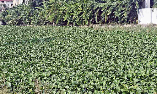 Activists warn pathetic condition of Uyyankondan river