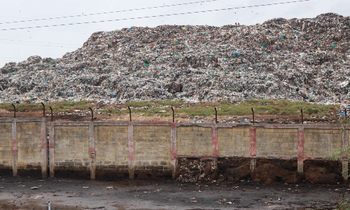 Chennai Corporation spreads legacy waste along Pallikaranai marshland, claim activists Chennai Corporation spreads legacy waste along Pallikaranai marshland, claim activists