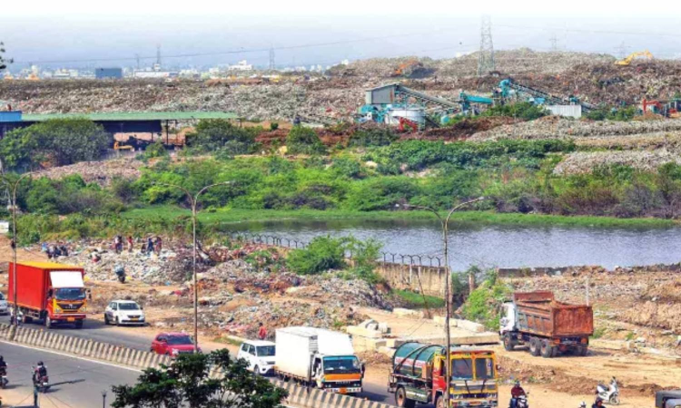 NGT suspends all construction around Pallikaranai marsh as part of urban conservation