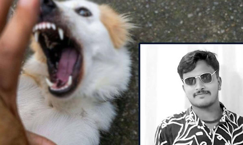 Youth dies two months after being bitten by dog near Hosur