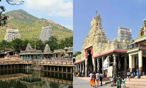 Palani, Tiruchendur, Tiruvannamalai temples to introduce ‘break’ darshan