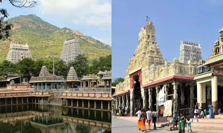 Palani, Tiruchendur, Tiruvannamalai temples to introduce ‘break’ darshan
