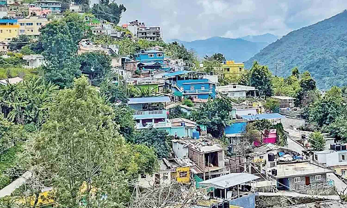 Tamil Nadu hill stations warming up due to construction surge and forest decline