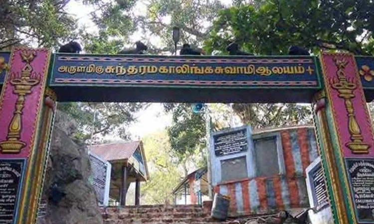 Tamil Nadu: Devotee gets injured on Sathuragiri hill, rescued