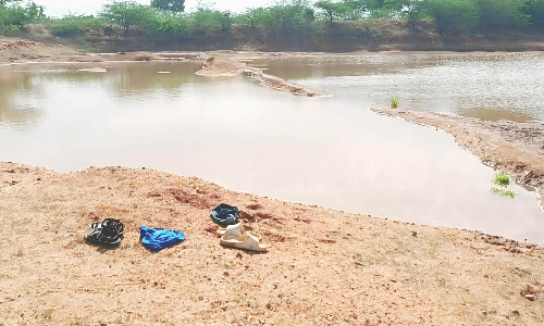 Three Thanjavur boys drown in village tank