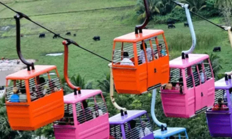 Cable car service suspended at Palani Murugan temple for annual maintenance