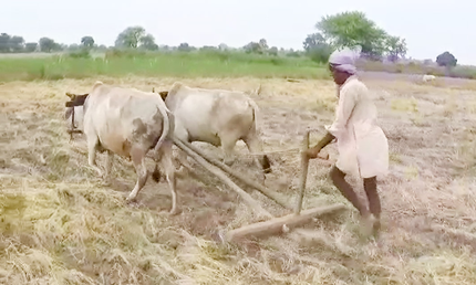 TN farmers urge Centre to implement modified Pandiyaru-Moyyar river link scheme