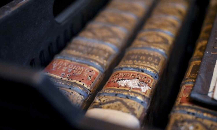 Hungarys oldest library fighting to save 100,000 books from beetle infestation