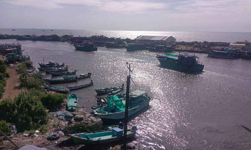 Future looks promising for Tamil Nadu fishermen