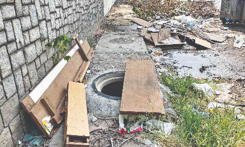 Broken tree branches, open SWD on Alagappa Road’s pavement rankle residents