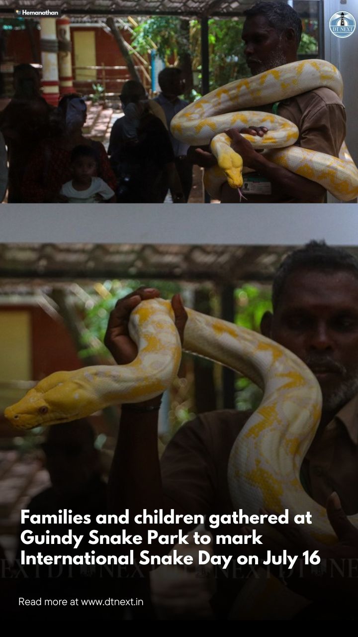 Families and children gathered at Guindy Snake Park to mark International Snake Day on July 16 Families and children gathered at Guindy Snake Park to mark International Snake Day on July 16