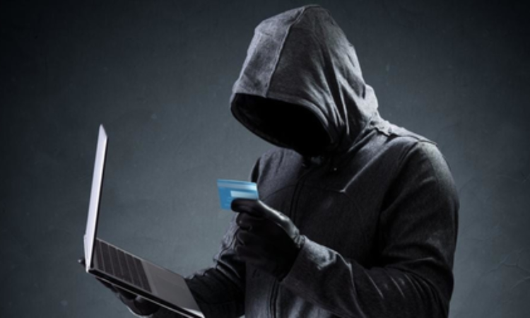 Chennai: One more arrest in major online investment scam; luxury car and phone seized Chennai: One more arrest in major online investment scam; luxury car and phone seized