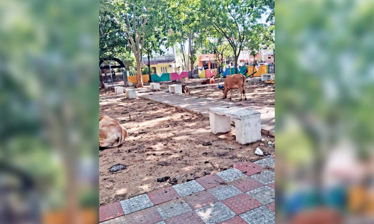 MMDA Nagar kids’ park littered with cow dung, damaged play equipment