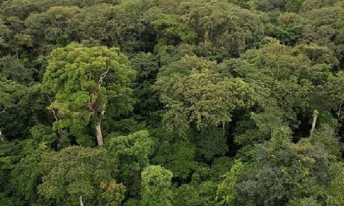 54 tonnes of plastics waste removed from forest areas across TN