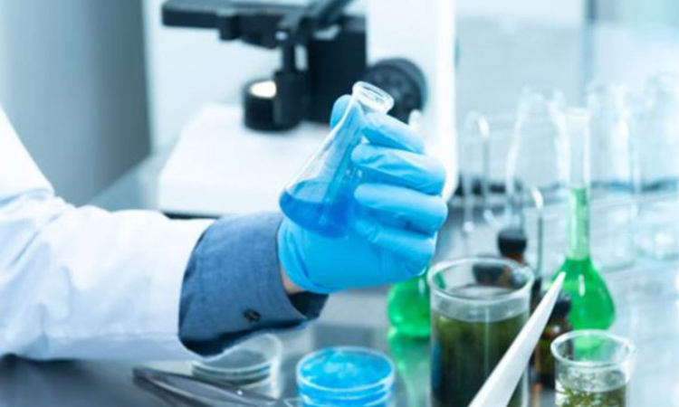 Development of indigenous multi-stage Malaria vaccine AdFalciVax is underway