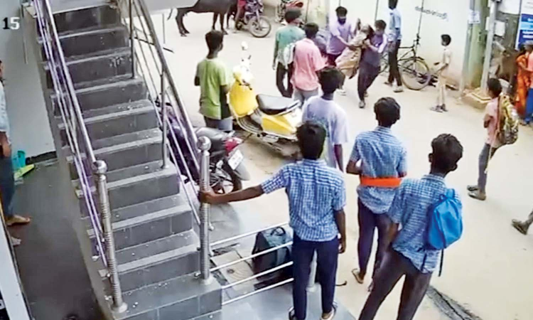 Chennai: Stray buffalo attacks 12-year-old girl in Anakaputhur