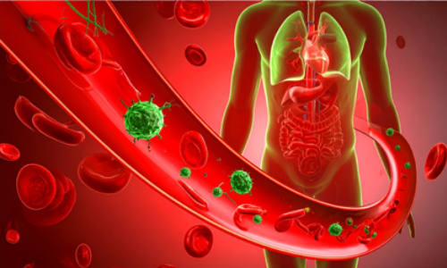 Indian scientists develop new nano-sensor to detect deadly sepsis infection in minutes