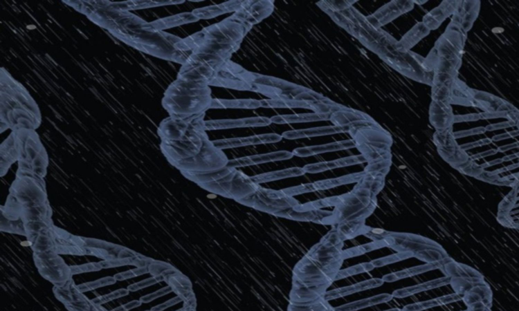 Genetic breakthrough: Gene editing could save species on brink of extinction