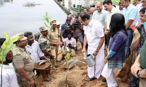 Thangam Thennarasu launches mangrove plantation drive at Adyar Estuary to mark World Mangrove Day