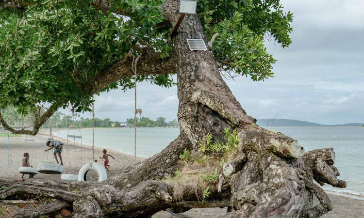 Cease and desist: Climate science is now the law