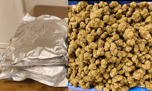 Flyers from Singapore, Bangkok held with gold, ganja at Chennai Airport; arrested Flyers from Singapore, Bangkok held with gold, ganja at Chennai Airport; arrested