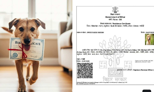 ‘Dog babu’ gets residence certificate in Bihar