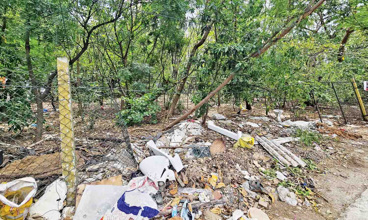 Kotturpuram Miyawaki remains a dumpyard