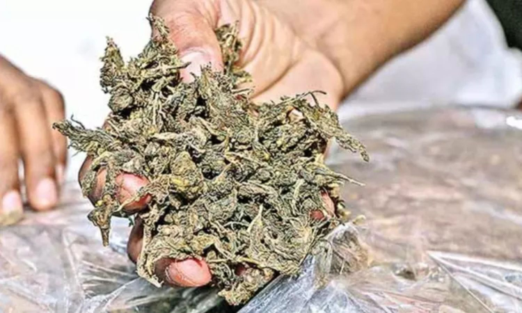 2 stranded SL men held with ganja off Maravakadu coast 2 stranded SL men held with ganja off Maravakadu coast