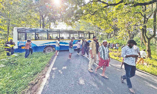 Passengers survive as TNSTC bus steering away from deer rams tree in Gudalur