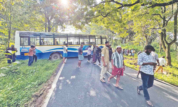 Passengers survive as TNSTC bus steering away from deer rams tree in Gudalur