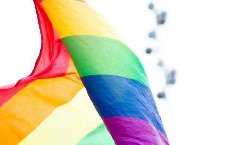 No mention of horizontal reservation in TN policy for transgender persons