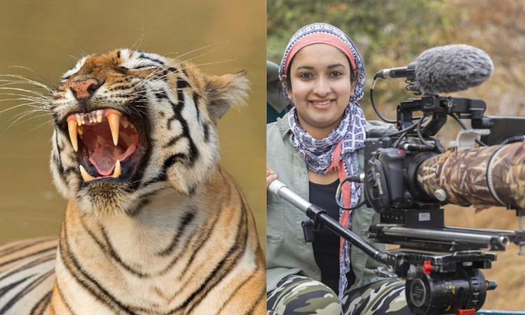 Visual storytelling can humanise wild, says award-winning wildlife filmmaker Aishwarya Sridhar