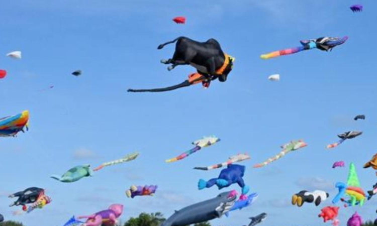 Tamil Nadu International Kite Festival returns to Mahabalipuram; here is all you need to know