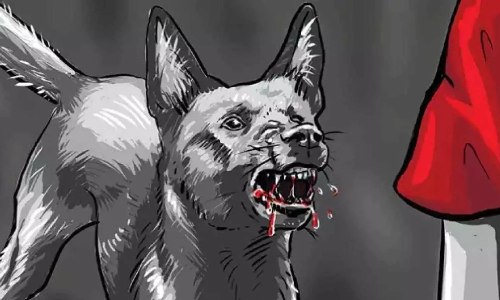 House owners pit bull mauls 7-yr-old girl in Chennai