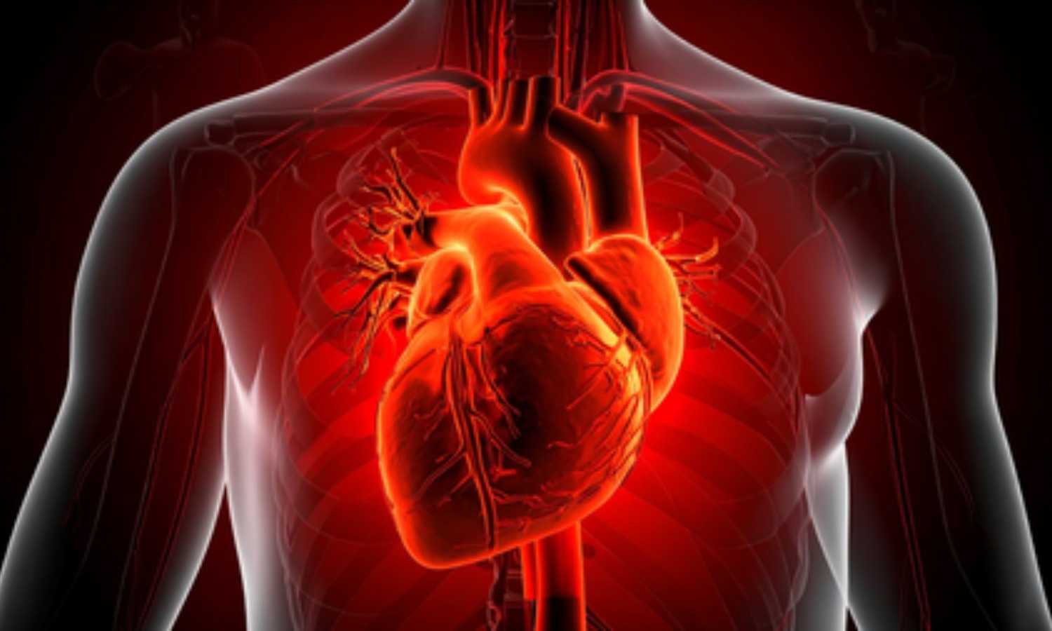 Inflammation linked to frailty, social deprivation and heart disease risk in women: Study