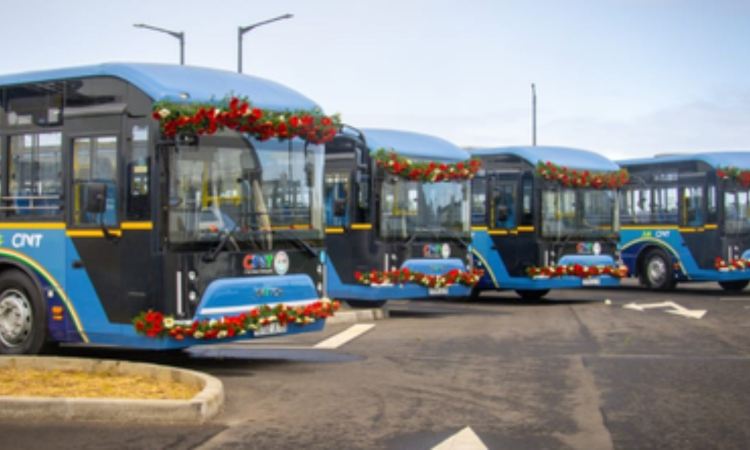 India hands over first batch of 10 electric buses to Mauritius