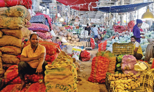Domestic strength: A shield for India from tariff shocks Domestic strength: A shield for India from tariff shocks