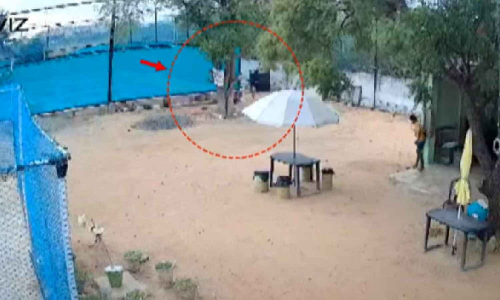 Madurai: Stray dog mauls father and son; CCTV clip sparks concerns