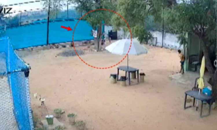 Madurai: Stray dog mauls father and son; CCTV clip sparks concerns