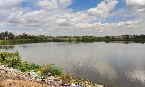 Save water bodies at the earliest, activists urge TN govt