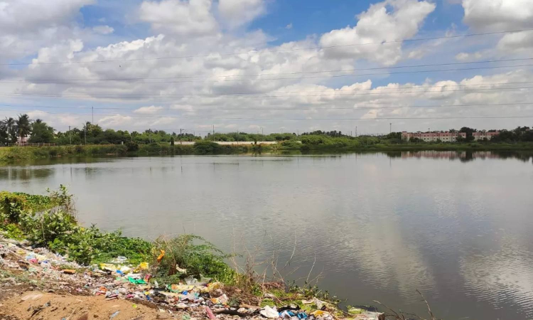 Save water bodies at the earliest, activists urge TN govt