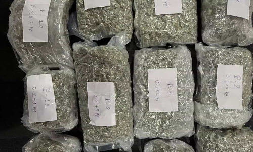 Hydroponic ganja worth Rs 7 cr seized at Coimbatore airport, two arrested