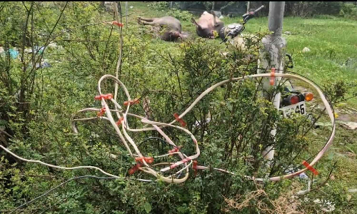 Two electrocuted by illegal fence near Tiruvannamalai; landlord dumps bodies in well