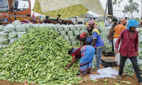 Ooty carrot, chow chow and radish get costlier at Chennais Koyambedu market on Nov 16, 2025